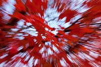 ABSTRACT NATURE